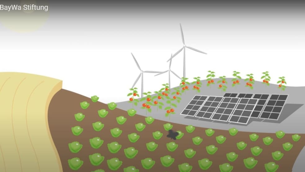 Die BayWa Stiftung fördert Bildungsprojekte für gesunde Ernährung und erneuerbare Energie.