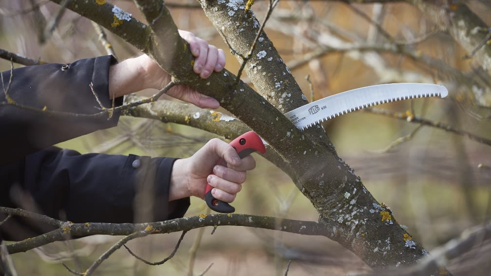 FELCO Astsäge schneidet Ast