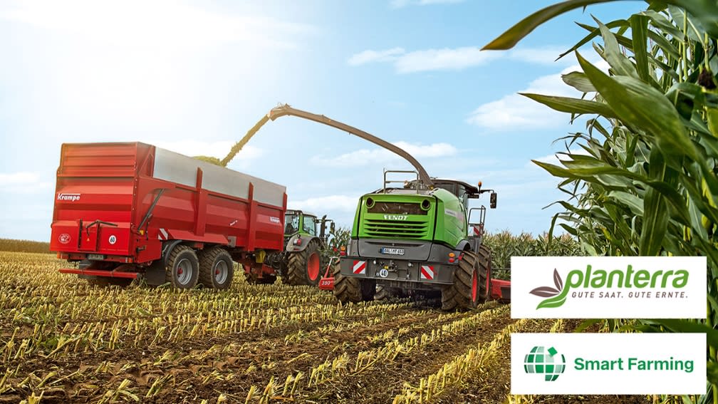 NEXT Ertragsprognose