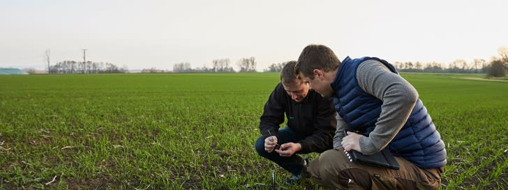 Düngebedarf ermitteln