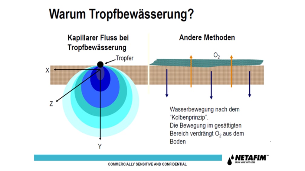 Darstellung des kapillaren Flusses bei der Tropfbewässerung, während bei anderen Methoden der Vorgang des Kolbenprinzips eintritt.