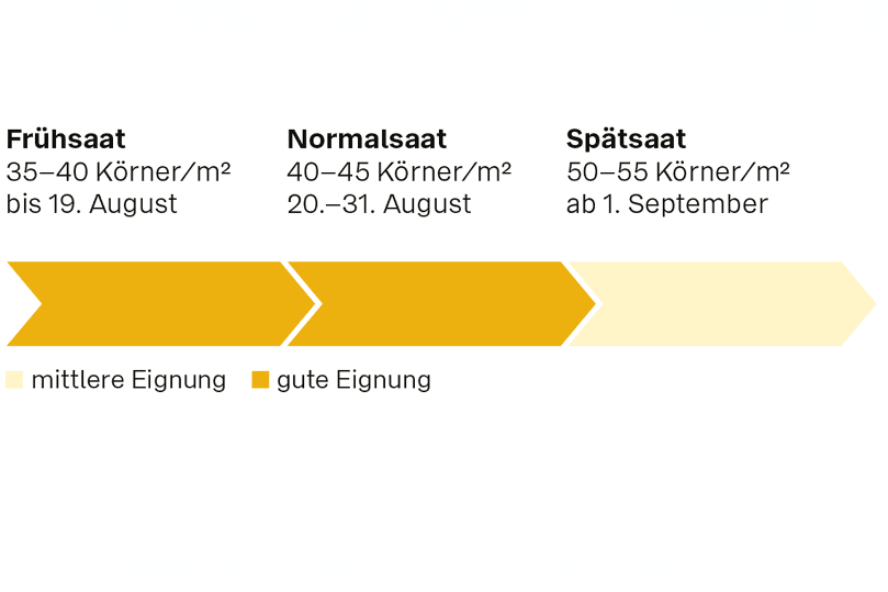 Saatzeit LG ACTIVUS