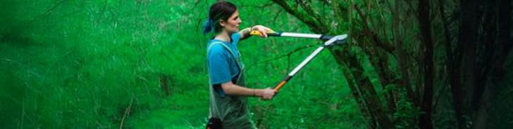 fiskars