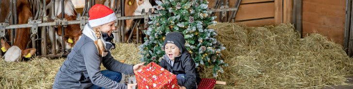 Gewinnspiel BayWa Weihnachtswelt 2025