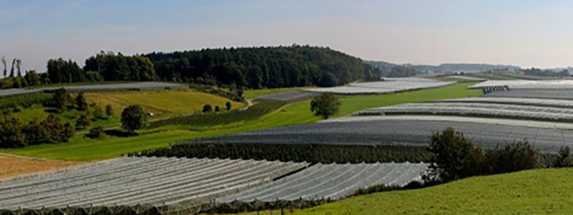 Picture of Hail Protection