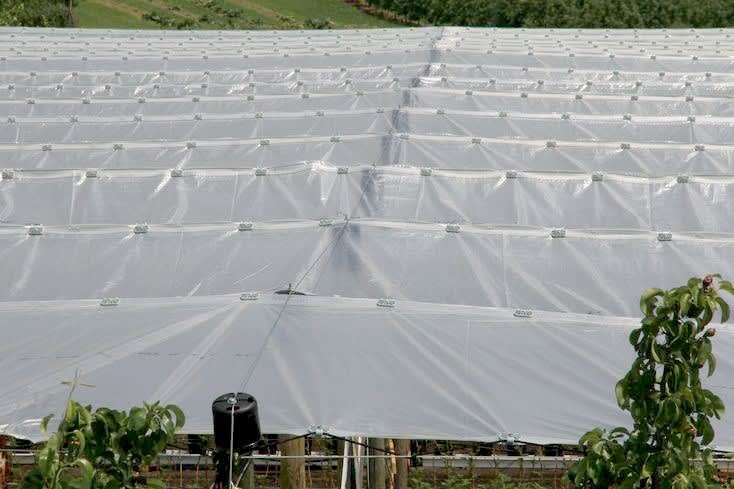 Picture of Rain Protection