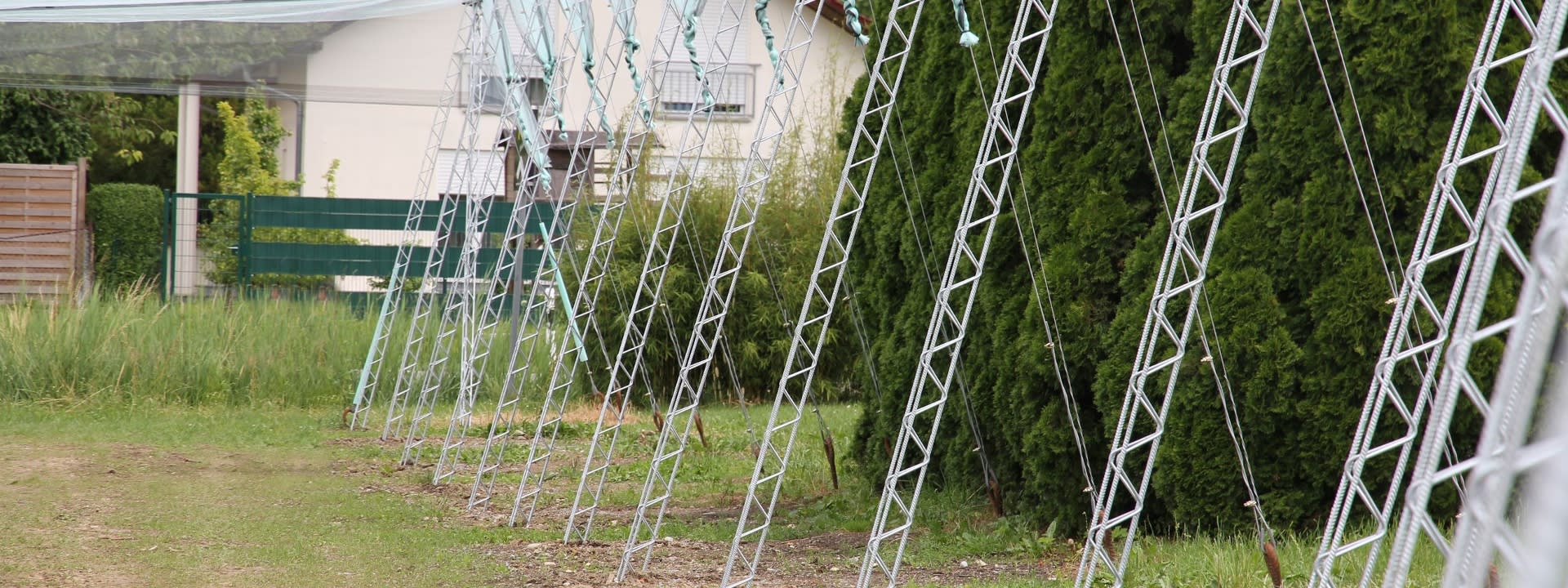 Fruit growing
