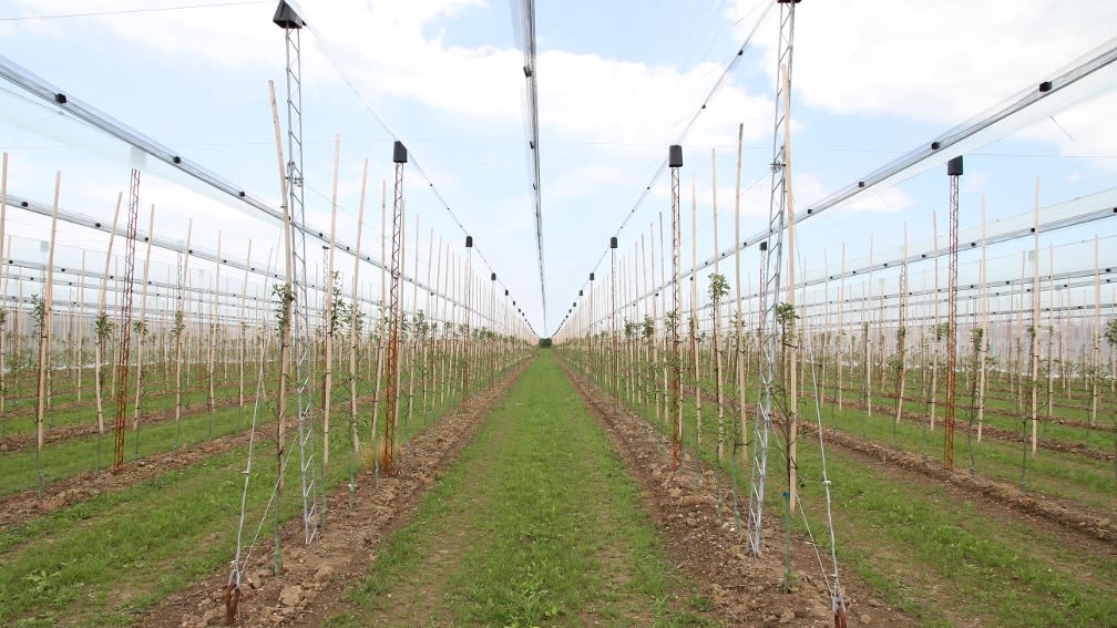 BayWa Fruit Traverse: fully assembled system