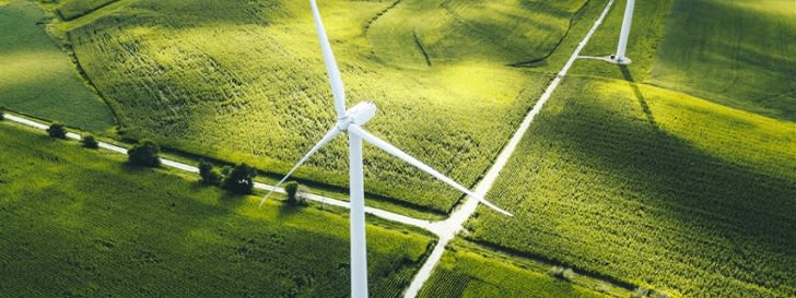 Picture shows wind turbines on a field