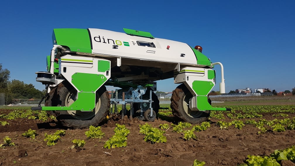 Roboter DINO im Salat