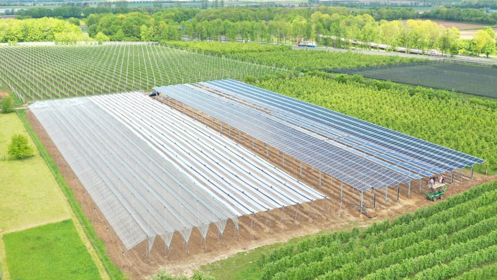 Ariel view of the agri-pv, including hail protection nets