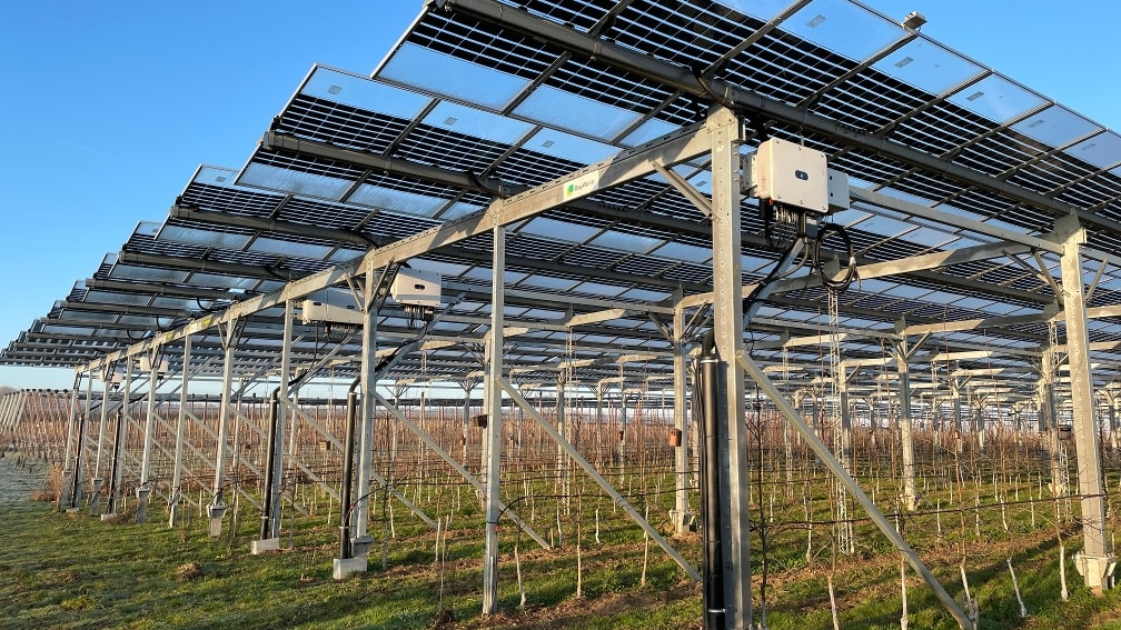 Agri-PV system angled from below.