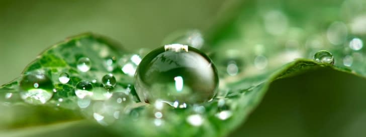 A drop of water on a green leaf close up.