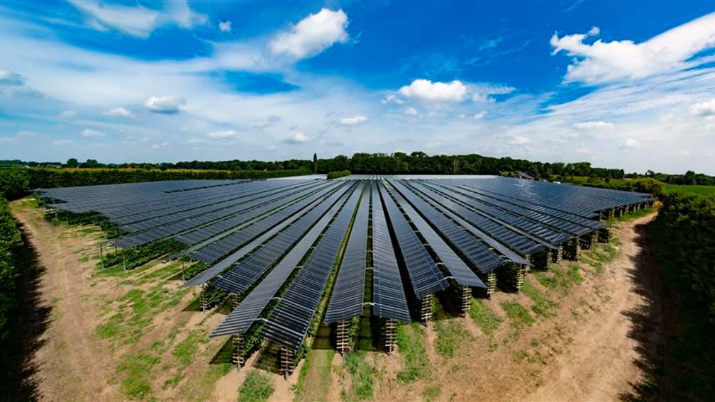 Aerial view: Raspberry plantation covered with Fruitvoltaic