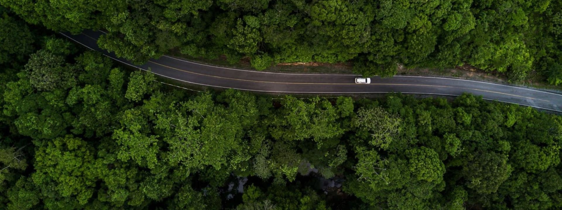 Auto auf Waldstraße von oben