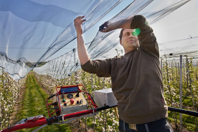 Landwirt installiert Hagelnetz