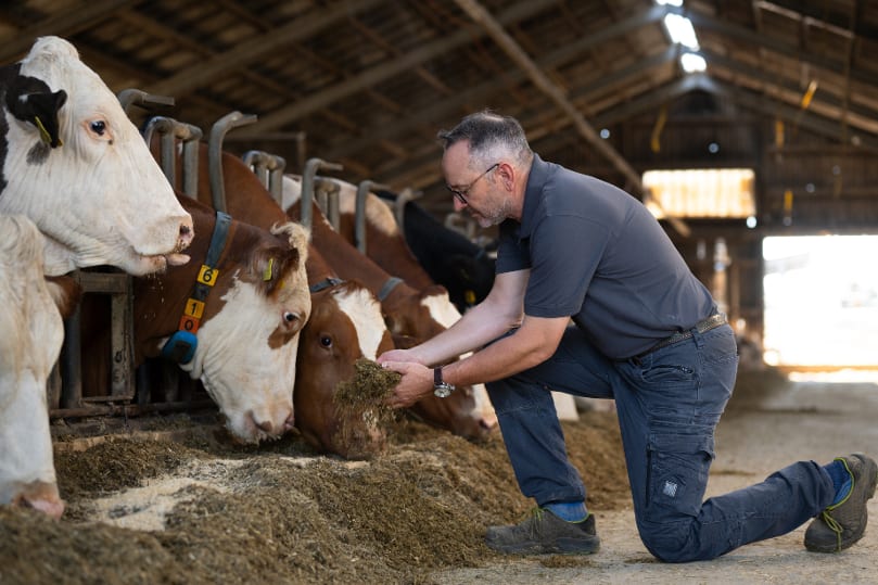 Hans-Georg Schwarz bei seinen Kühnen im Stall