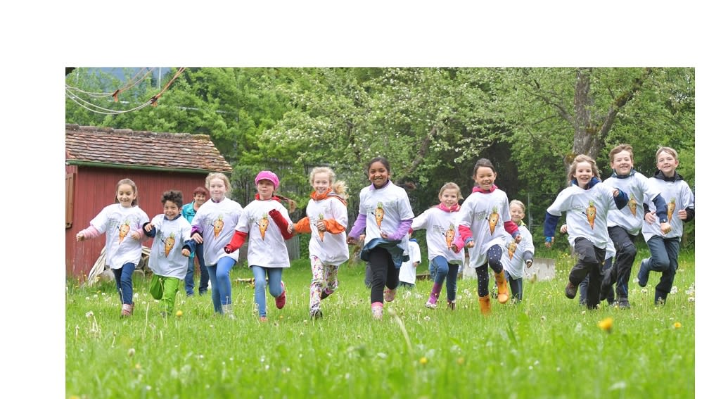 donate for education, healthy nutrition and renewable energies
