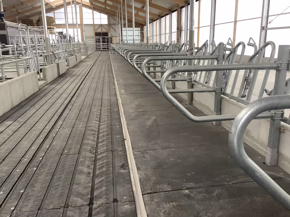 Emissionsmindernde Laufgangmatten und erhöhte Fressplätze
