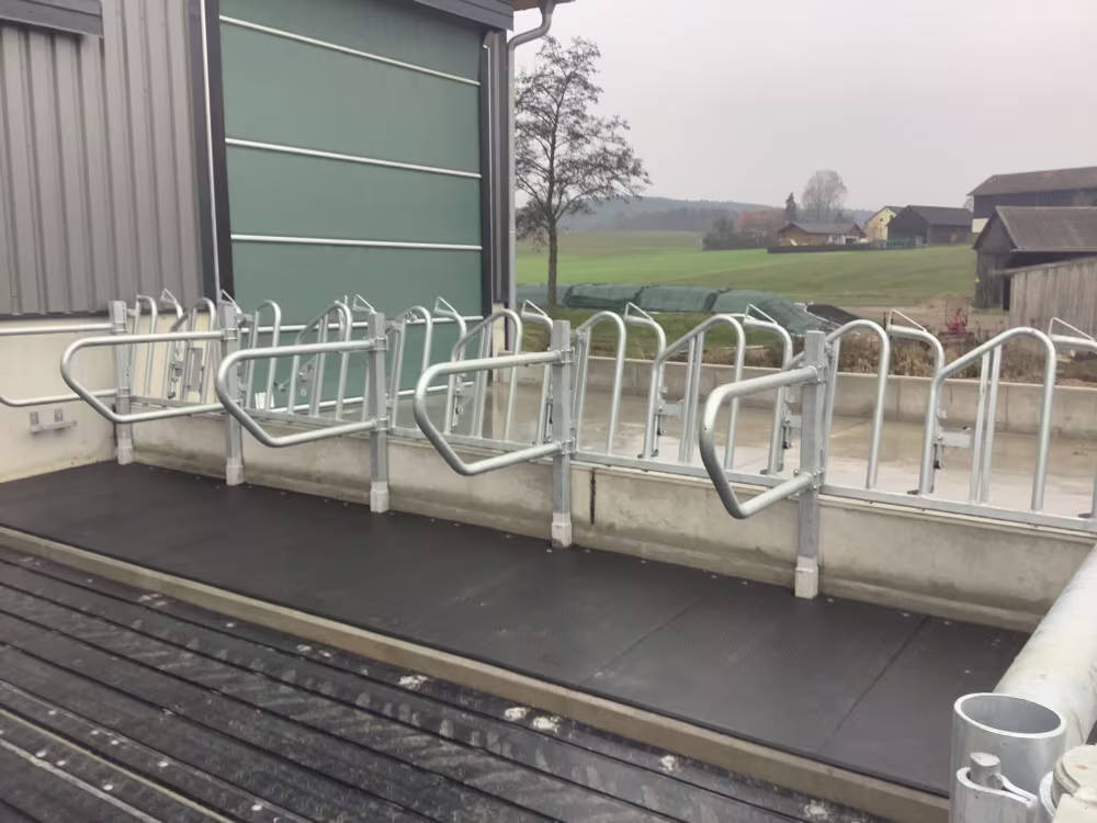 Erhöhte Fressplätze mit Trennbügel ermöglichen den Tieren eine ruhige Futteraufnahme