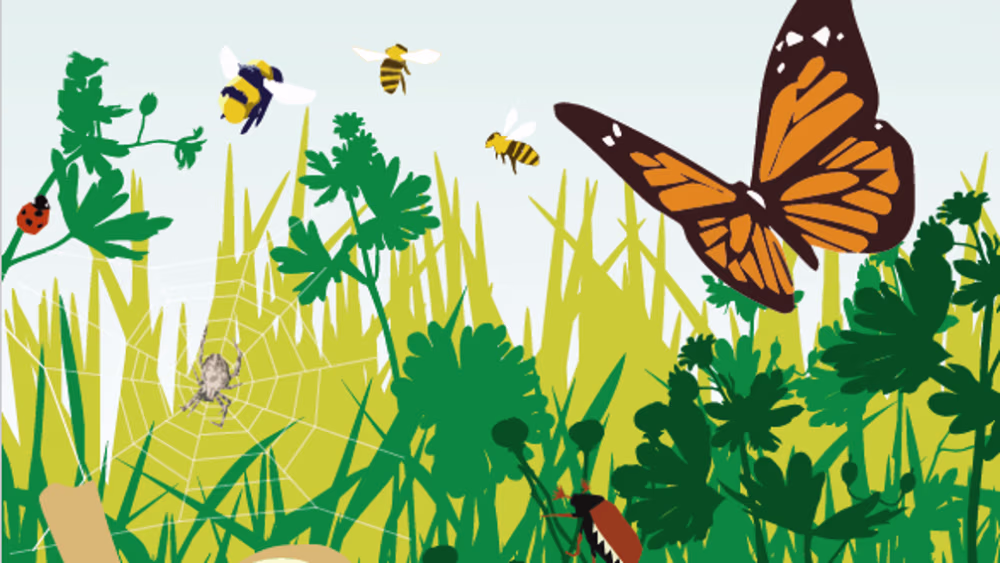 Feldschild zur Biodiversität: Hier tobt das Leben