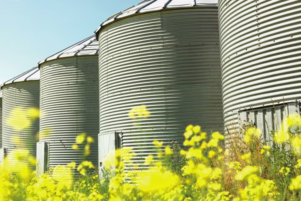 Silo in eine Raps Wiese gebaut