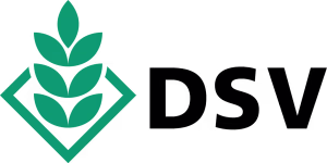 logo_dsv_saaten