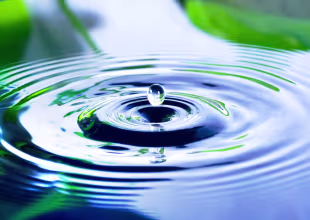 Wasserhygiene