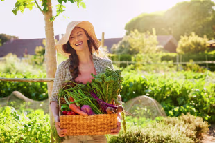 Gartenkalender für Juni