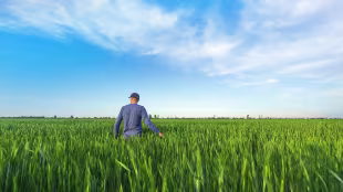 Klimaresilliente Landwirtschaft