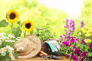 Gartenarbeit