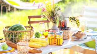 Wespen jetzt effektiv vermeiden – und zusätzlich sparen! 10 % Rabatt auf Ihren Einkauf ab 25 €!
