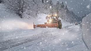 Schneeschilde und Schneepflüge