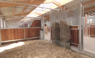 Stallbedarf
