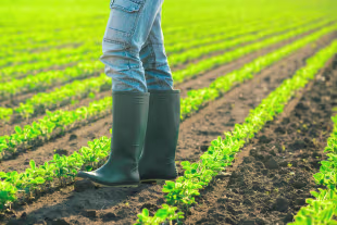 Gummistiefel & Gartenschuhe