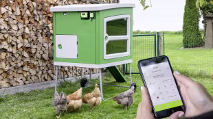 SmartCoop