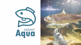 Jetzt 10 % Rabatt auf Aqua Mischpalette Fischfutter sichern!