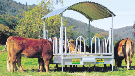 Futtertröge, Futterautomaten und Raufen