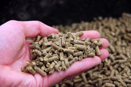Mineralfutter für Pferde
