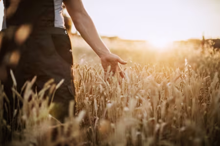 BayWa-Portal für die Landwirtschaft