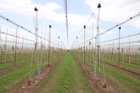 Mehr zum Schutzsystem FruitTraverse
