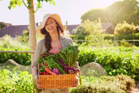 Gartenkalender für Juni