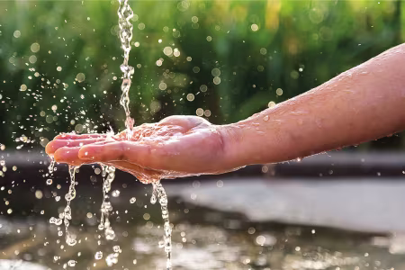 Regenwassernutzung