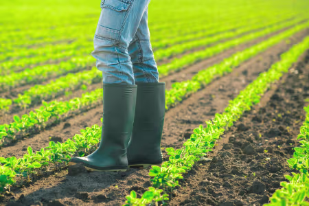 Gummistiefel & Gartenschuhe