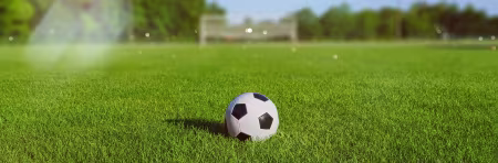 Fußball auf Fußballrasen