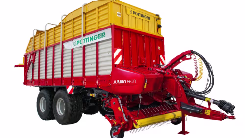 JUMBO