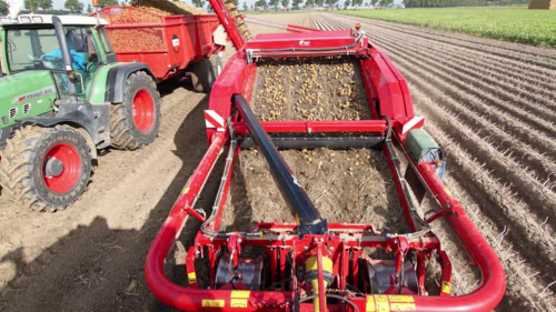 Grimme GT 300
