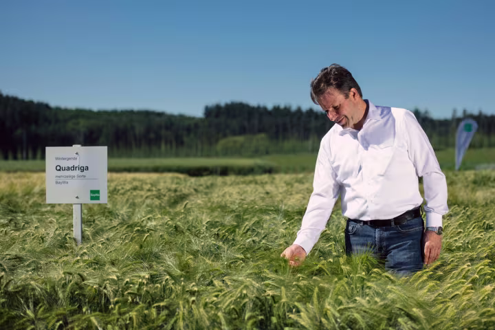 Wintergerstensorten für die Herbstaussaat 2020