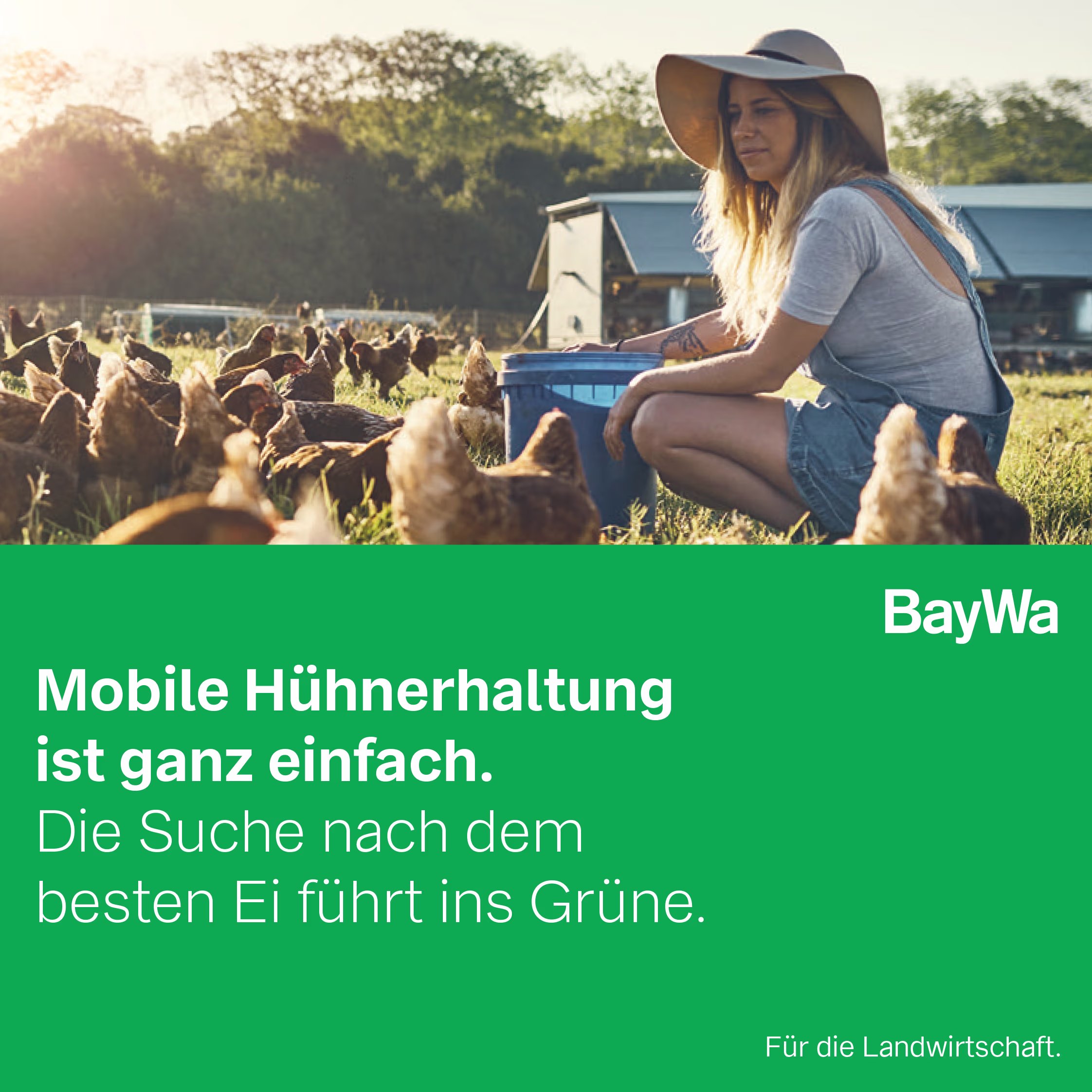 Mobile Hühnerhaltung