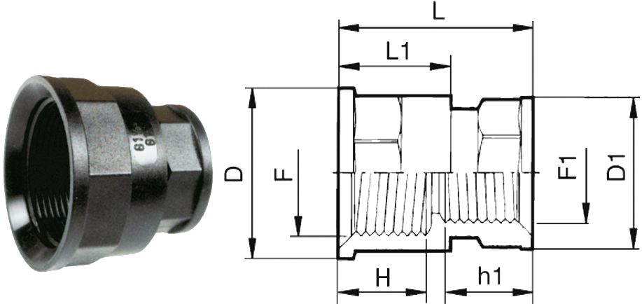 Agrotop Reduzierstück G 1" IG BSP; G 1/2" IG BSP H 23 mm h1 19 mm Länge 47 mm mit beidseitig Innengewinde (IG), 10795